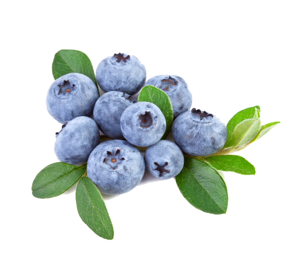 88824 Blueberry