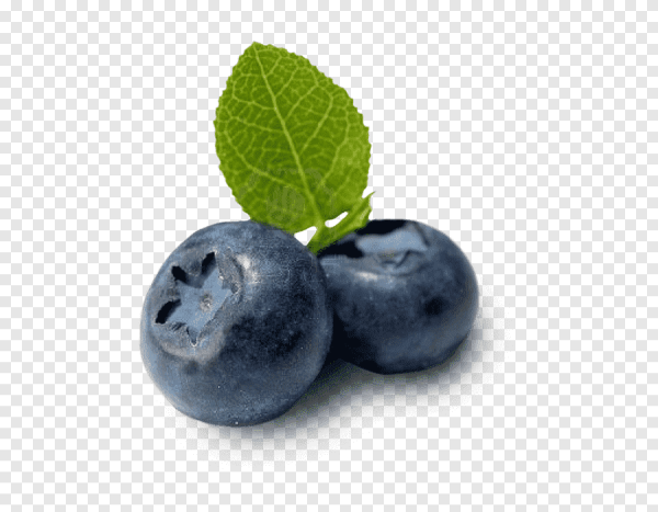 Ягоды черники без фона