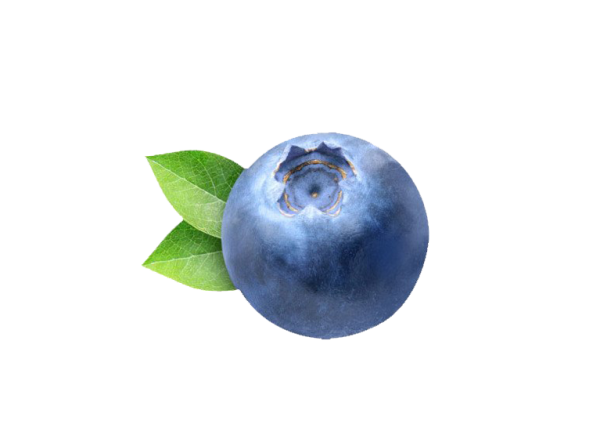 Черника для детей