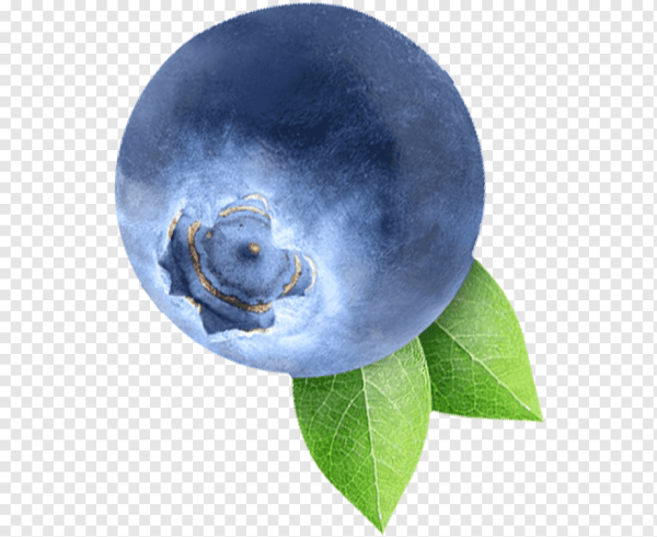 Ягода черника для детей