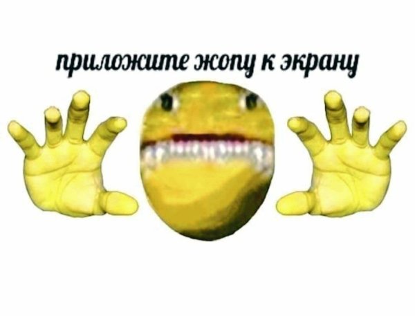 Приложите к экрану