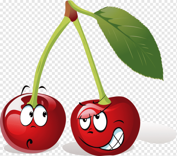 Вишня рисунок