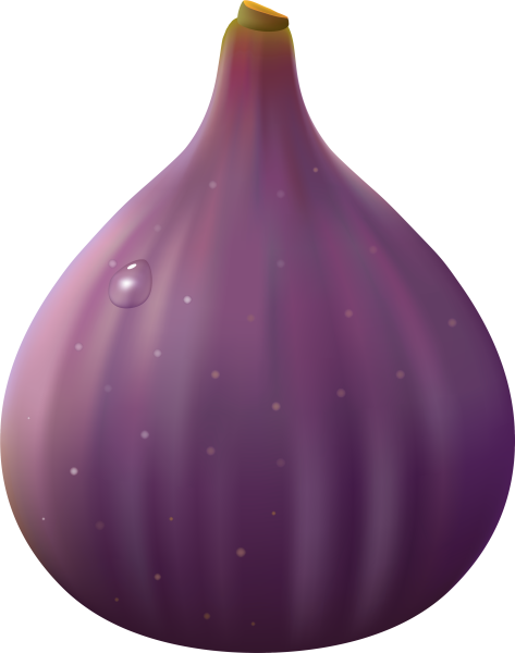 Фрукт фиолетовая луковица