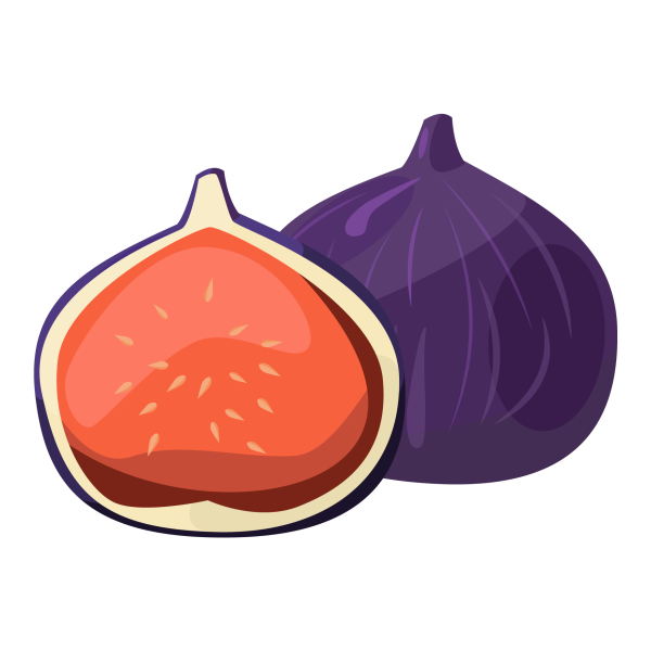 Инжир вектор