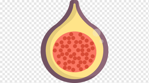 Инжир мульт вектор