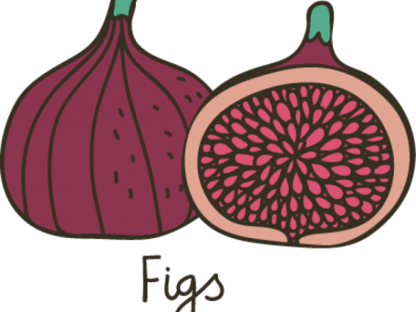 Инжир мультяшка