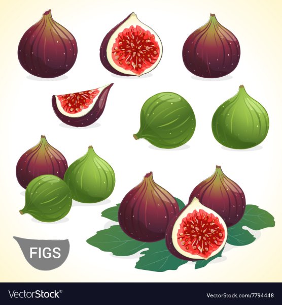 Карточка инжир для детей