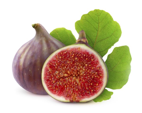 Инжир символ