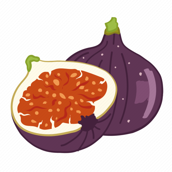 Инжир стилизация