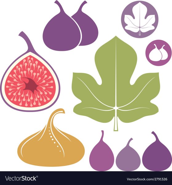 Инжир и смородина