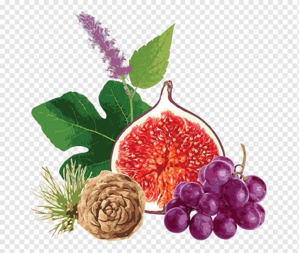 Инжир без фона