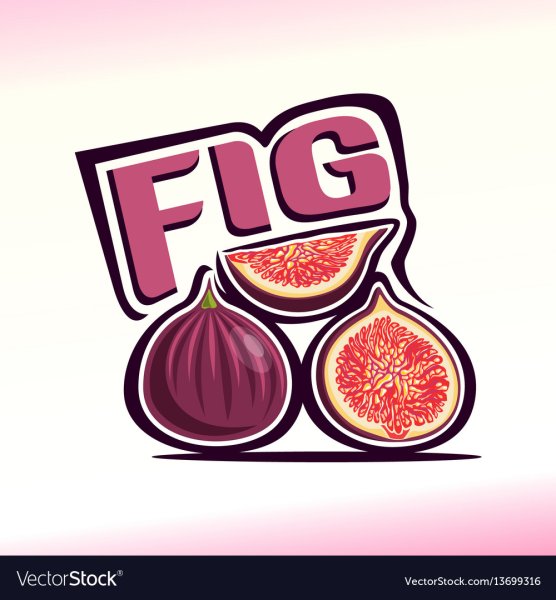 Инжир вектор