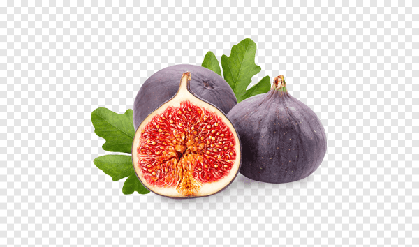 Инжир вектор