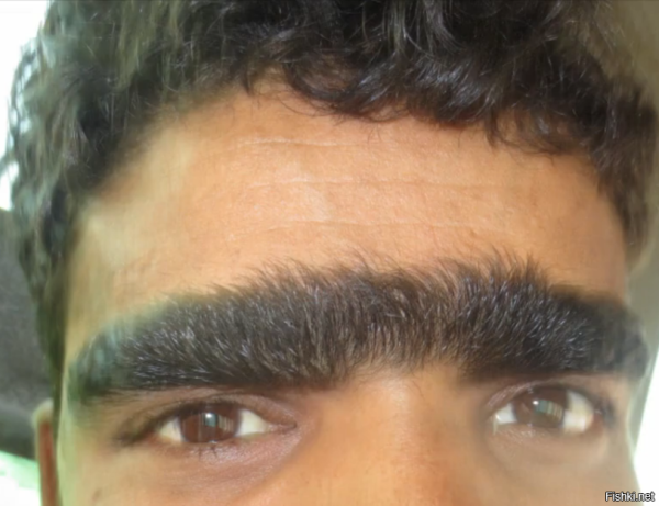 Моноброви для фотошопа