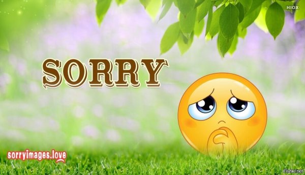 Картинка sorry