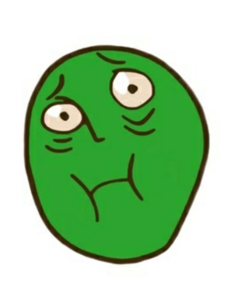 Рофлан ПЛАКИЧ