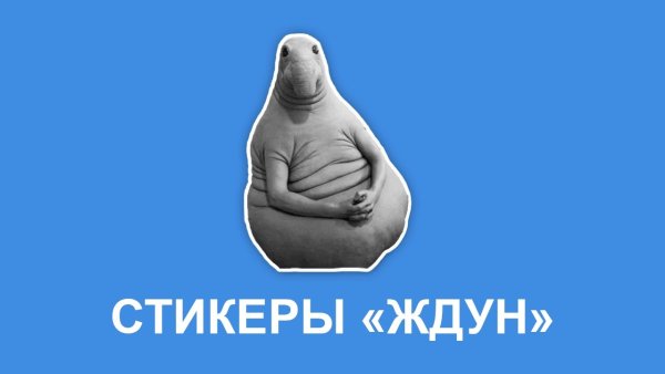 Стикер Ждуна для ватсапа