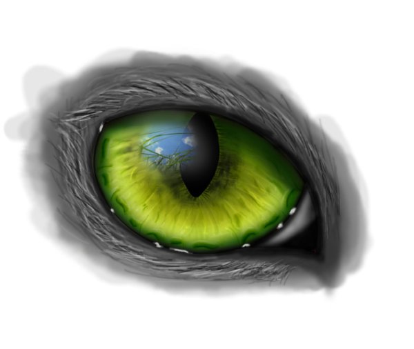 Зеленый зрачок глаза