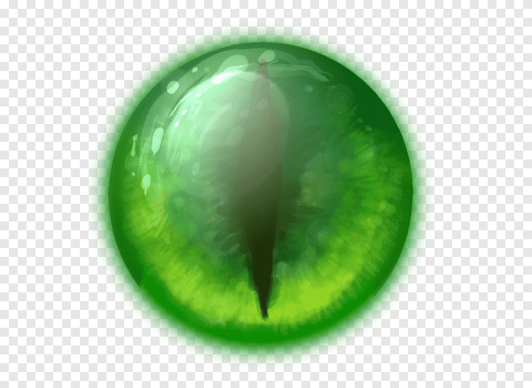 Кошачий глаз на белом фоне