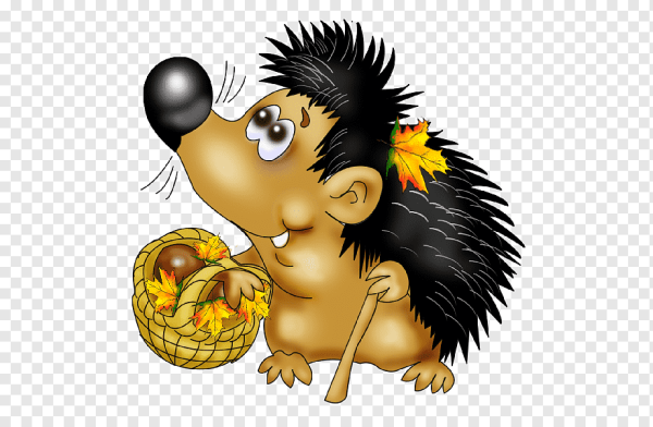 Солнечный Ежик