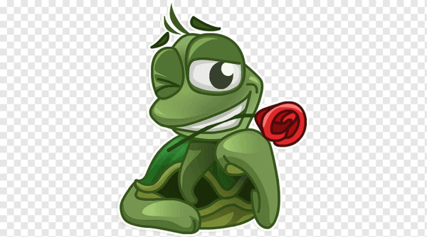 Черепашка в шляпе