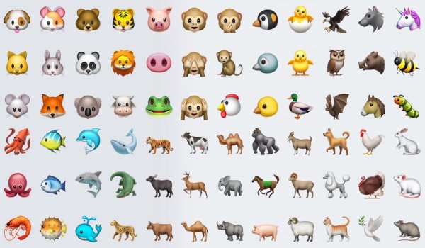 Смайлики из животных