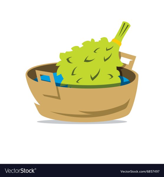 Дубовый веник вектор