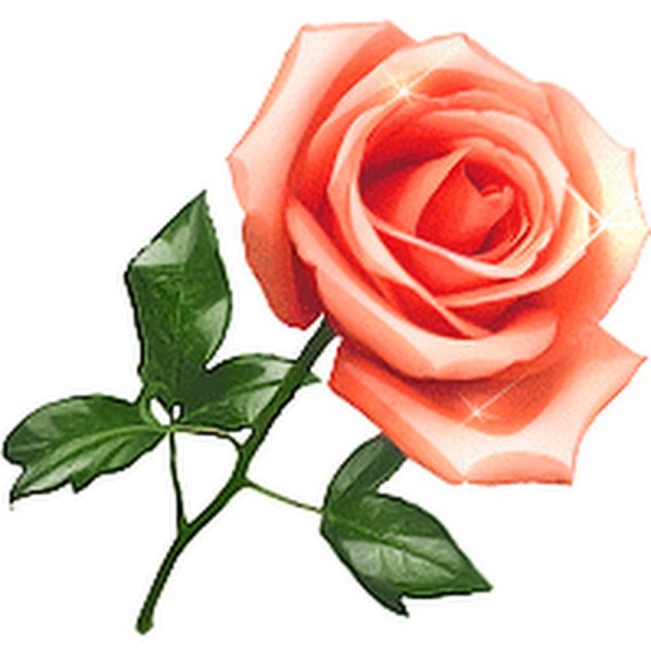 Смайлик с розой