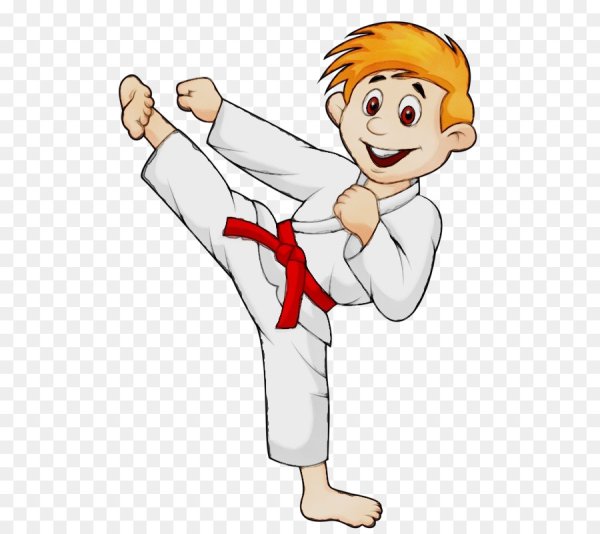 Каратист на белом фоне