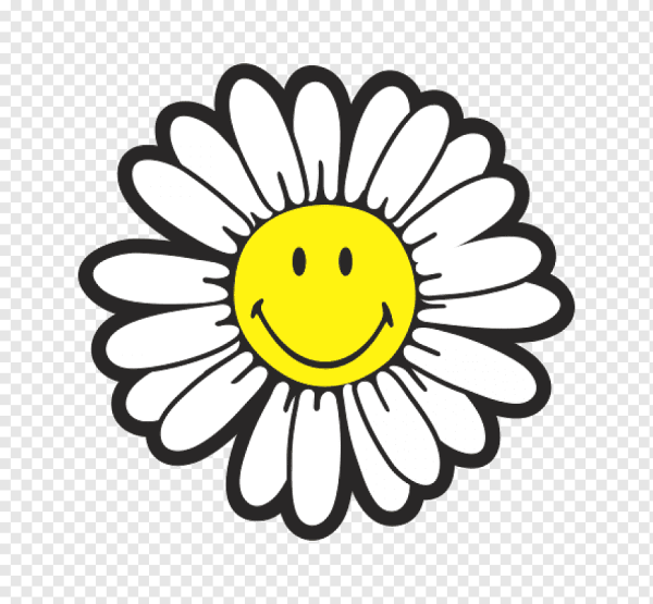 Ромашка с улыбкой