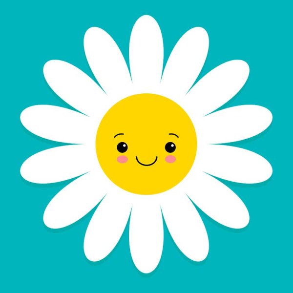 Ромашка с лицом