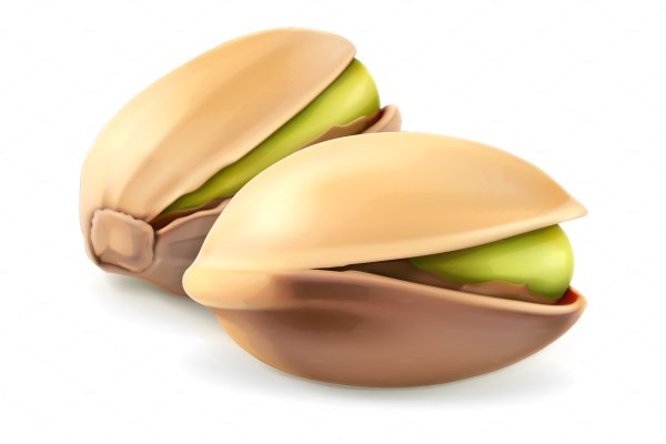 Векторный фисташки