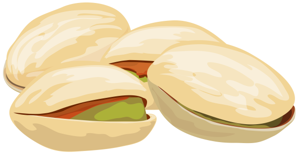 Фисташка рисунок