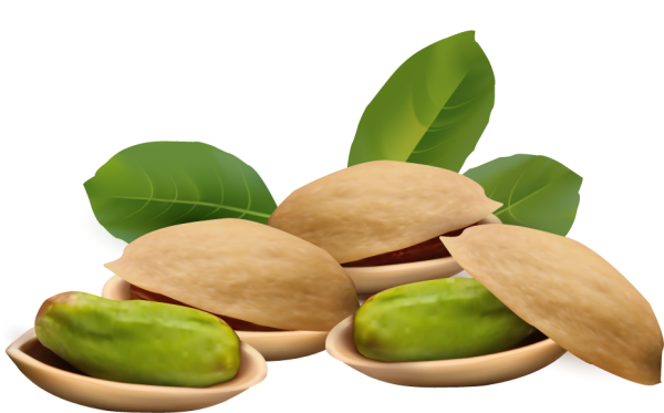 Фисташки на прозрачном фоне