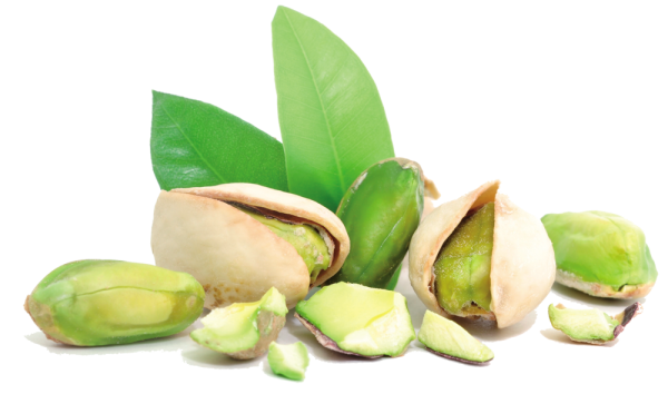 Фисташки на белом фоне