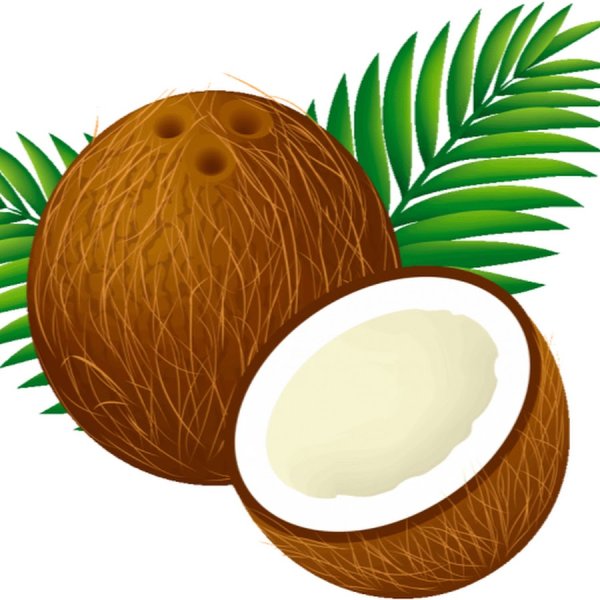 Кокос мультяшный