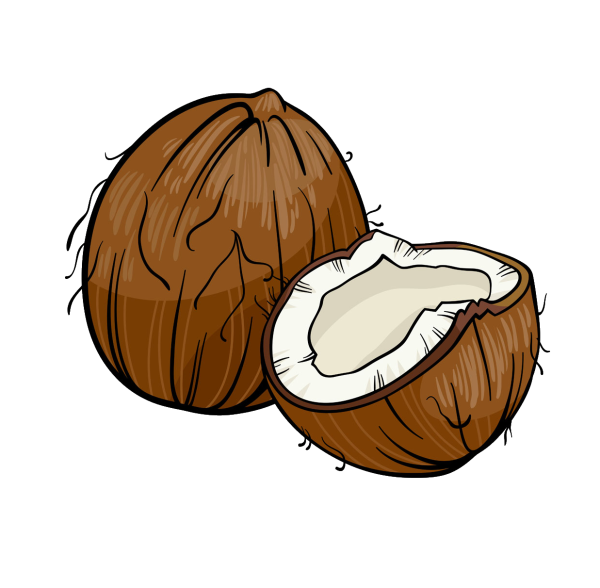 Нарисовать Кокос