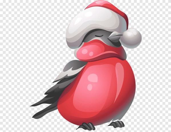 Снегирь на прозрачном фоне