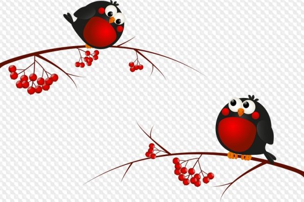 Снегирь вектор