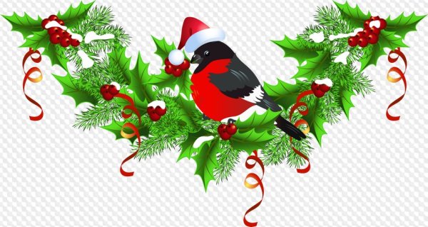 Снегири на ветке на прозрачном фоне