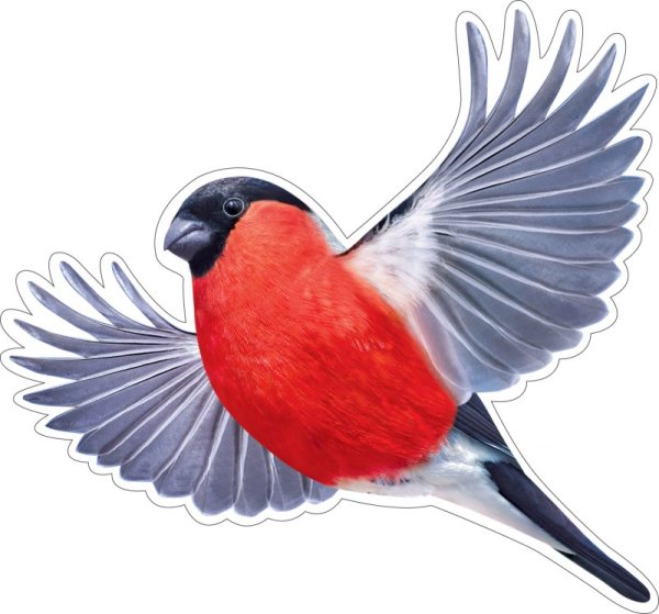 Снегири для оформления