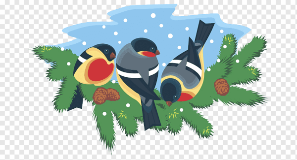 Снегирь для детей