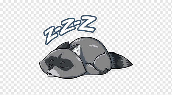 Стикер телеграмм енот Елисей