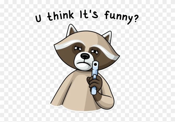 Racoon енот Стикеры телеграм