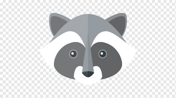 Raccoon Стикеры