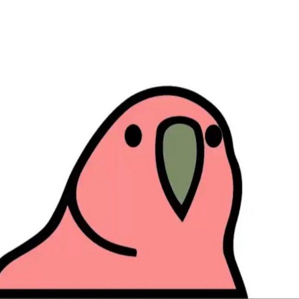 Анимированный попугай стикер