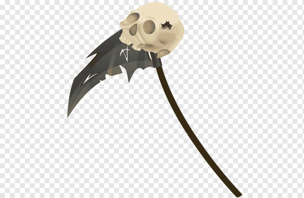 Коса без фона