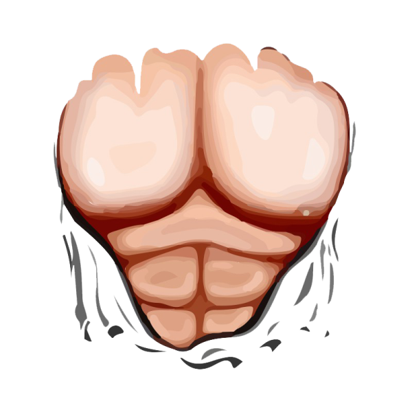 T Shirt Roblox пресс