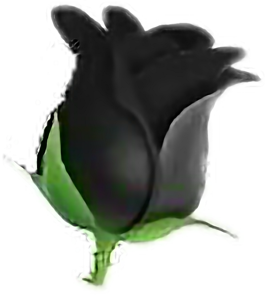 Черная роза ЭМОДЖИ