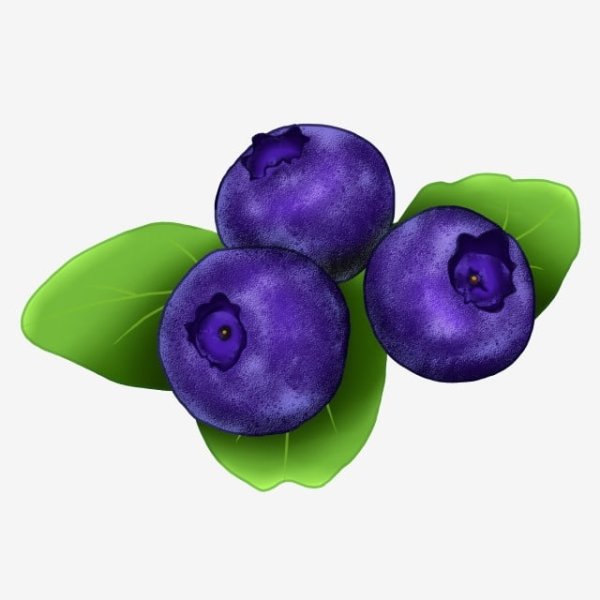 Фиолетовая черника